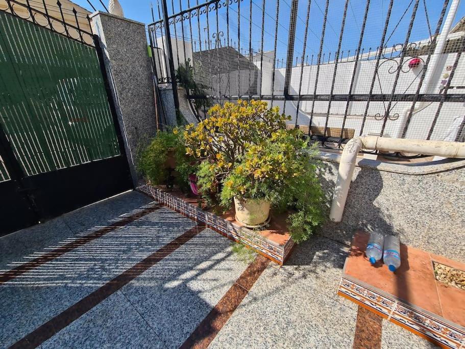 Los Alcázares Marble Manor Guest House מראה חיצוני תמונה
